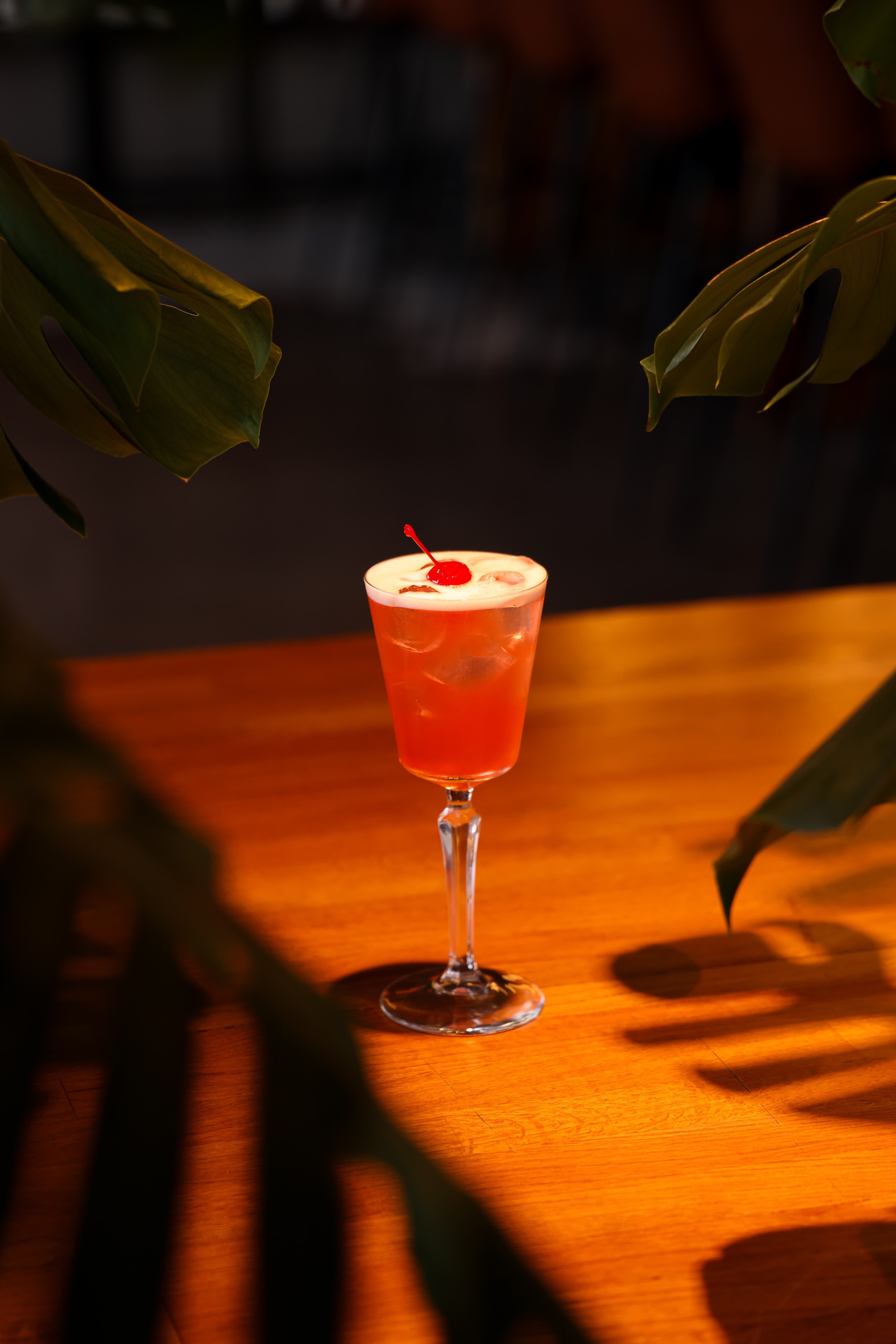 Republic24